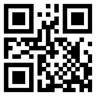 Il Qr Code di 3303702028