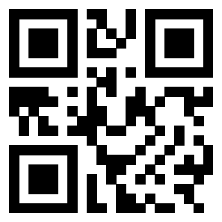 3303702110 - Immagine del QrCode