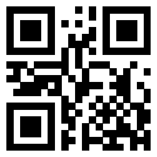 3303702141 - Immagine del QrCode
