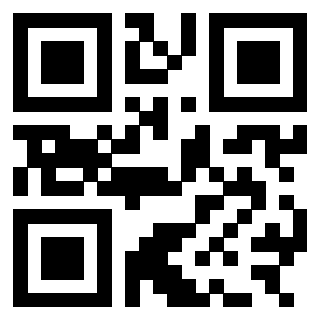 Il Qr Code di 3303708738