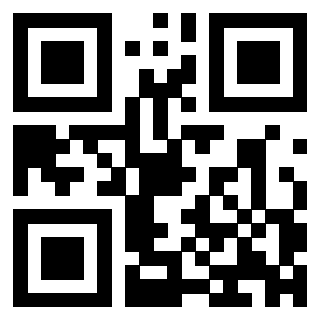 QrCode di 3303708917