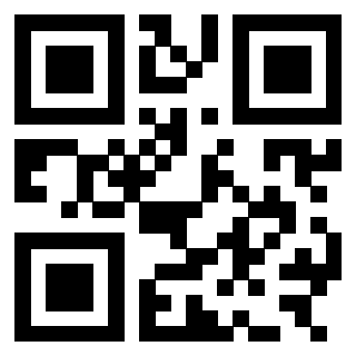 Il Qr Code di 3303708995
