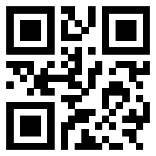 3303709166 - Immagine del QrCode