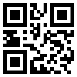 3303709243 - Immagine del QrCode