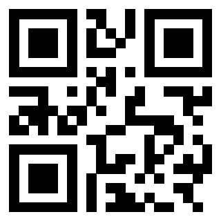 Il Qr Code di 3303709407