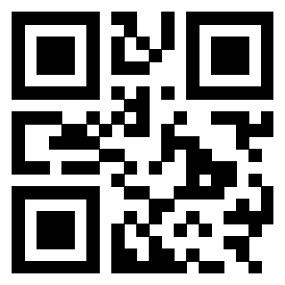 QrCode di 3303783384
