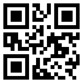 Il Qr Code di 3303783874