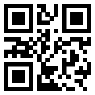 3303784247 - Immagine del QrCode