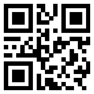 QrCode di 3303784263