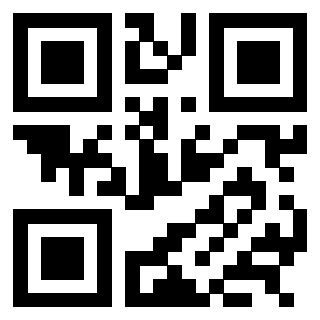 QrCode di 3303908084