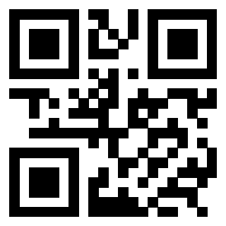 QrCode di 3303908271