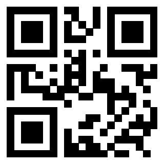 Il Qr Code di 3303908366