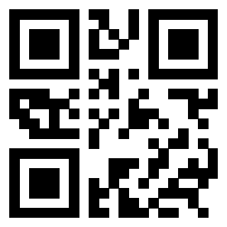 3303956313 - Immagine del QrCode