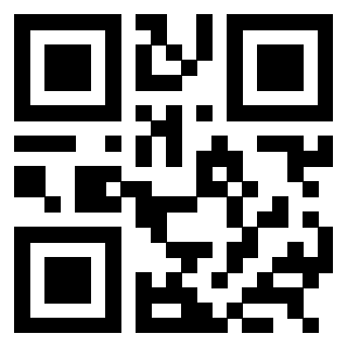 Il Qr Code di 3303956503