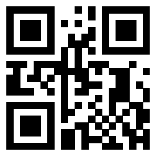 QrCode di 3303956634