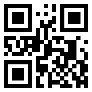 QrCode di 3303956667