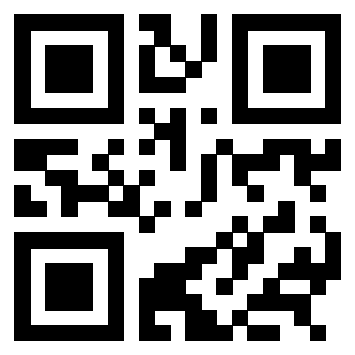 QrCode di 3303956771
