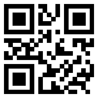 Il Qr Code di 3303956971