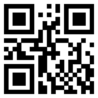 Il Qr Code di 3303957166