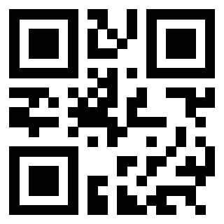 QrCode di 3304007403