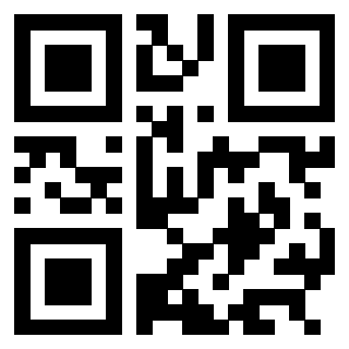 3304022295 - Immagine del QrCode associato