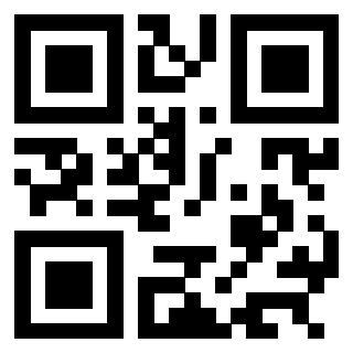3304022916 - Immagine del QrCode