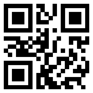 3304022918 - Immagine del Qr Code associato