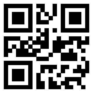 Il Qr Code di 3304044813