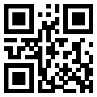 QrCode di 3304044919