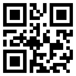 3304044947 - Immagine del QrCode