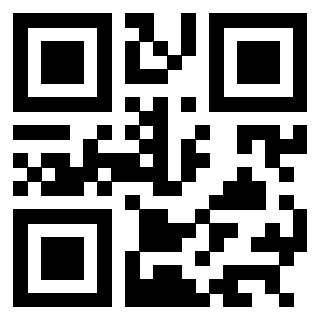 3304044951 - Immagine del QrCode