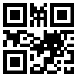 3304044995 - Immagine del QrCode