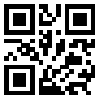3304047704 - Immagine del QrCode associato