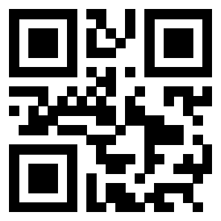 3304047987 - Immagine del QrCode