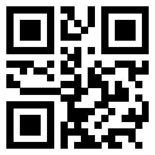 QrCode di 3304048234