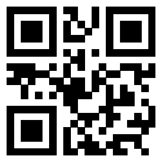 3304048255 - Immagine del QrCode