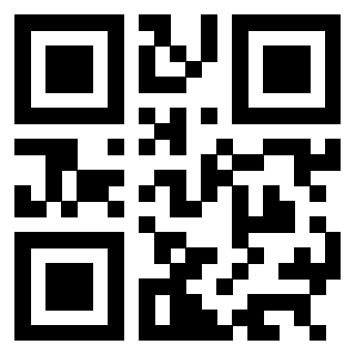 3304048256 QrCode associato