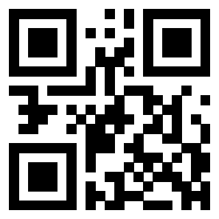 3304048287 - Immagine del QrCode