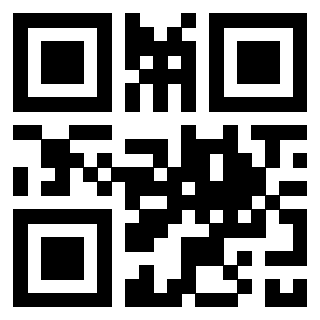 3304048333 - Immagine del QrCode