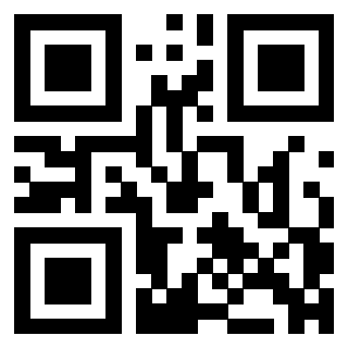 3304048523 - Immagine del QrCode