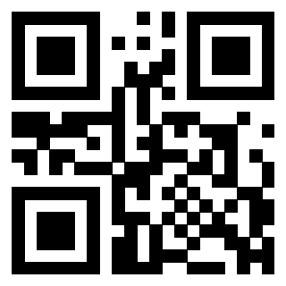 3304048620 - Immagine del Qr Code associato