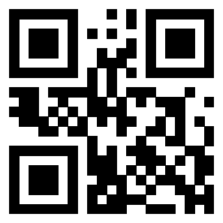 Il Qr Code di 3304048643