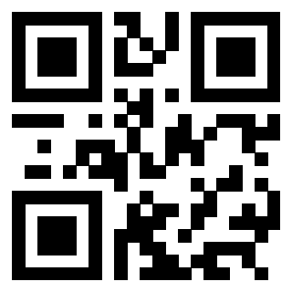 3304055113 - Immagine del QrCode associato