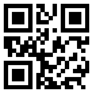 3304055118 QrCode associato