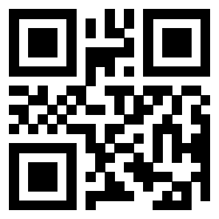 Il Qr Code di 3304056058