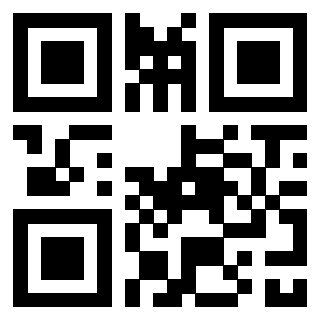 3304056064 - Immagine del QrCode