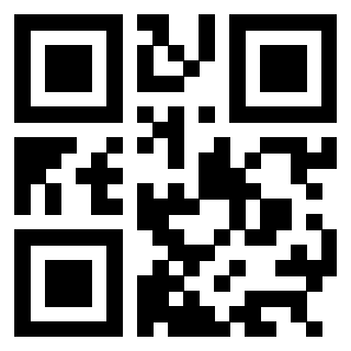 Immagine del Qr Code di 3304087100