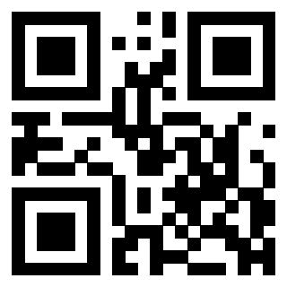 QrCode di 3304087113