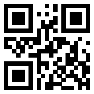 QrCode di 3304087215