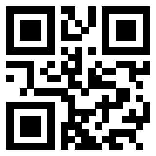 QrCode di 3304087225